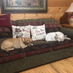 Meet your Posher, Robin